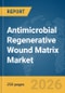 Antimicrobial Regenerative Wound Matrix Market Report 2026 - Product Thumbnail Image