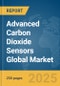 Advanced Carbon Dioxide (CO2) Sensors Global Market Report 2025 - Product Thumbnail Image