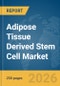 Adipose Tissue Derived Stem Cell Market Report 2026 - Product Thumbnail Image