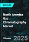 North America Gas Chromatography Market Report by Instrument Type, Accessories & Consumables, Detector Type, End User, Countries and Company Analysis, 2025-2033 - Product Thumbnail Image