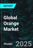 Global Orange Market Report by Product, Application, Countries and Company Analysis 2025-2033- Product Image