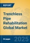 Trenchless Pipe Rehabilitation Global Market Insights 2025, Analysis and Forecast to 2030, by Market Participants, Regions, Technology, Application, Product Type - Product Thumbnail Image