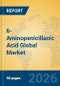 6-Aminopenicillanic Acid Global Market Insights 2026, Analysis and Forecast to 2031 - Product Thumbnail Image