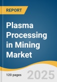 Plasma Processing in Mining Market Size, Share & Trends Analysis Report by Application (Plasma Smelting/Extractive Metallurgy, Plasma Waste & Tailings Treatment), Material (Complex Primary Ores, Secondary Scrap/Residues), and Region with Growth Forecasts, 2025-2033- Product Image