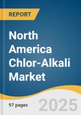 North America Chlor-Alkali Market Size, Share & Trends Analysis Report by Product (Caustic Soda, Chlorine, Soda Ash), Country (US, Canada, Mexico) with Growth Forecasts, Consumer Behavior and Competitive Analysis, 2026-2033- Product Image