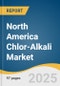 North America Chlor-Alkali Market Size, Share & Trends Analysis Report by Product (Caustic Soda, Chlorine, Soda Ash), Country (US, Canada, Mexico) with Growth Forecasts, Consumer Behavior and Competitive Analysis, 2026-2033 - Product Thumbnail Image