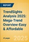 TrendSights Analysis 2025: Mega-Trend Overview-Easy & Affordable - Product Thumbnail Image