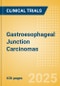 Gastroesophageal (GE) Junction Carcinomas - Global Clinical Trials Review, 2025 - Product Thumbnail Image