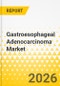 Gastroesophageal Adenocarcinoma Market - A Global and Regional Analysis: Focus on Country, 2025-2035 - Product Thumbnail Image