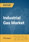 Industrial Gas Market Report 2026 - Product Thumbnail Image