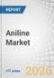 Aniline Market by Technology, End User, Application, and Region - Global Forecast to 2030 - Product Thumbnail Image