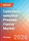 Castration-sensitive Prostate Cancer - Market Insights, Epidemiology, and Market Forecast - 2036 - Product Thumbnail Image