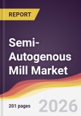 Semi-Autogenous Mill Market Report: Trends, Forecast and Competitive Analysis to 2031- Product Image