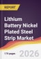 Lithium Battery Nickel Plated Steel Strip Market Report: Trends, Forecast and Competitive Analysis to 2031 - Product Thumbnail Image