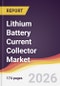 Lithium Battery Current Collector Market Report: Trends, Forecast and Competitive Analysis to 2031 - Product Thumbnail Image