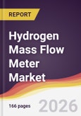 Hydrogen Mass Flow Meter Market Report: Trends, Forecast and Competitive Analysis to 2031- Product Image