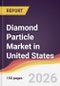 Diamond Particle Market in United States - Product Thumbnail Image