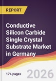 Conductive Silicon Carbide Single Crystal Substrate Market in Germany- Product Image