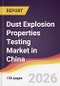 Dust Explosion Properties Testing Market in China - Product Thumbnail Image