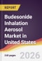 Budesonide Inhalation Aerosol Market in United States - Product Thumbnail Image