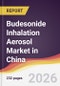 Budesonide Inhalation Aerosol Market in China - Product Thumbnail Image