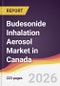Budesonide Inhalation Aerosol Market in Canada - Product Thumbnail Image