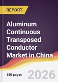 Aluminum Continuous Transposed Conductor Market in China- Product Image