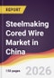 Steelmaking Cored Wire Market in China - Product Thumbnail Image