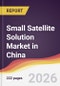 Small Satellite Solution Market in China - Product Image