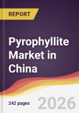 Pyrophyllite Market in China- Product Image