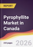 Pyrophyllite Market in Canada- Product Image