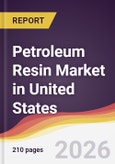Petroleum Resin Market in United States- Product Image