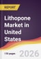 Lithopone Market in United States - Product Thumbnail Image