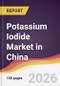 Potassium Iodide Market in China - Product Image