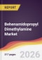 Behenamidopropyl Dimethylamine Market Report: Trends, Forecast and Competitive Analysis to 2031 - Product Thumbnail Image