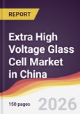 Extra High Voltage Glass Cell Market in China- Product Image