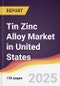 Tin Zinc Alloy Market in United States - Product Thumbnail Image