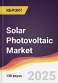 Solar Photovoltaic Market Report: Trends, Forecast and Competitive Analysis to 2031- Product Image