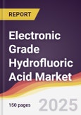 Electronic Grade Hydrofluoric Acid Market Report: Trends, Forecast and Competitive Analysis to 2031- Product Image