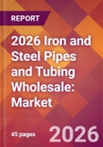 2026 Iron and Steel Pipes and Tubing Wholesale: Global Market Size & Growth Report with Updated Country Recession Risk Forecasts- Product Image