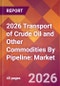 2026 Transport of Crude Oil and Other Commodities By Pipeline: Global Market Size & Growth Report with Updated Country Recession Risk Forecasts - Product Thumbnail Image