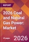 2026 Coal and Natural Gas Power: Global Market Size & Growth Report with Updated Country Recession Risk Forecasts - Product Thumbnail Image