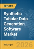 Synthetic Tabular Data Generation Software Market Report 2026- Product Image