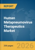 Human Metapneumovirus (hMPV) Therapeutics Market Report 2026- Product Image