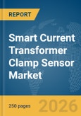 Smart Current Transformer (CT) Clamp Sensor Market Report 2026- Product Image