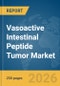 Vasoactive Intestinal Peptide Tumor Market Report 2026 - Product Thumbnail Image