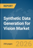 Synthetic Data Generation for Vision Market Report 2026- Product Image