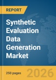 Synthetic Evaluation Data Generation Market Report 2026- Product Image