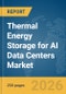 Thermal Energy Storage for AI Data Centers Market Report 2026 - Product Thumbnail Image