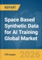 Space Based Synthetic Data for AI Training Global Market Report 2026 - Product Thumbnail Image